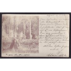 TIGRE 1904 RARA FOTO TARJETA POSTAL CIRCULADA